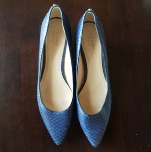 Blue Snake Print Pumps